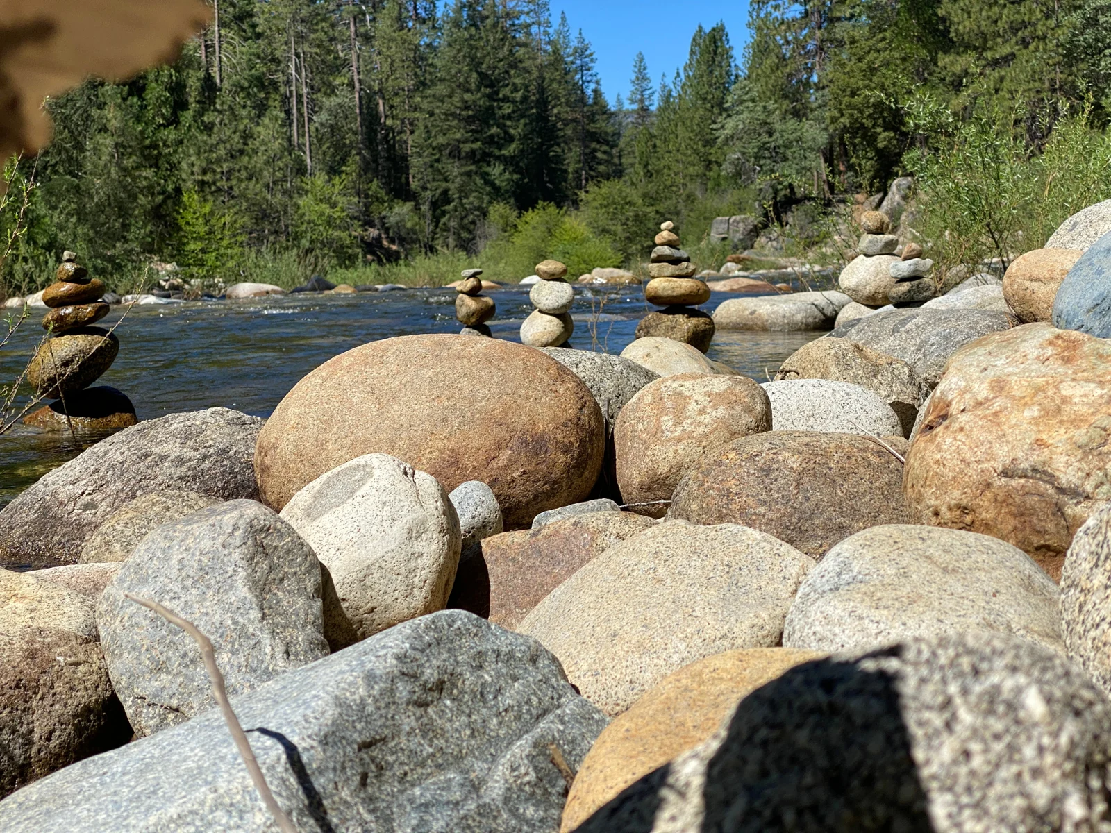 A river bordered by rounded stones and pine trees, with small arrangements of stones along the bank.