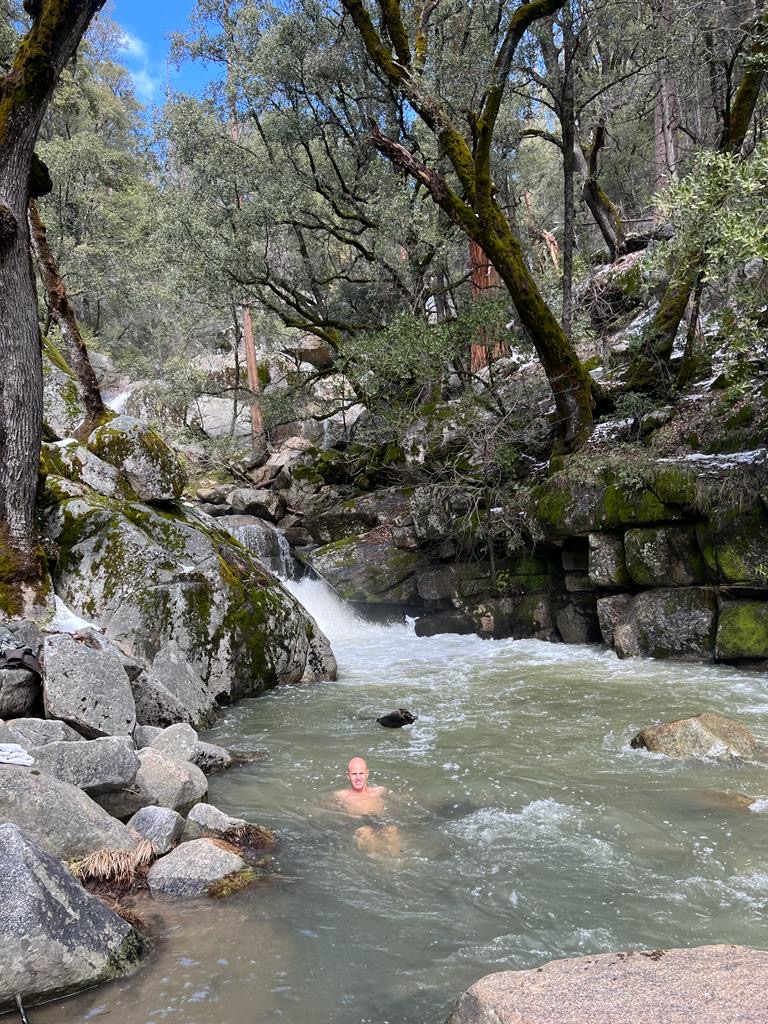 A wooded river flowing between moss-covered rocks.